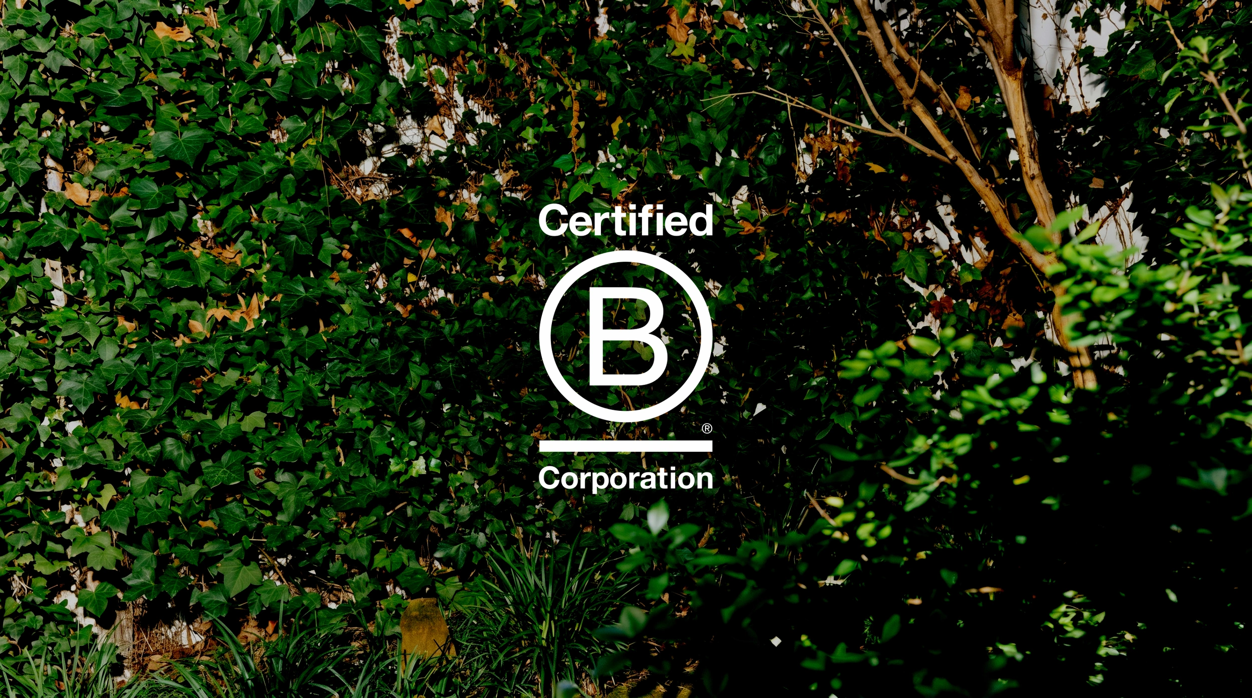 Wir sind eine zertifizierte B Corporation.